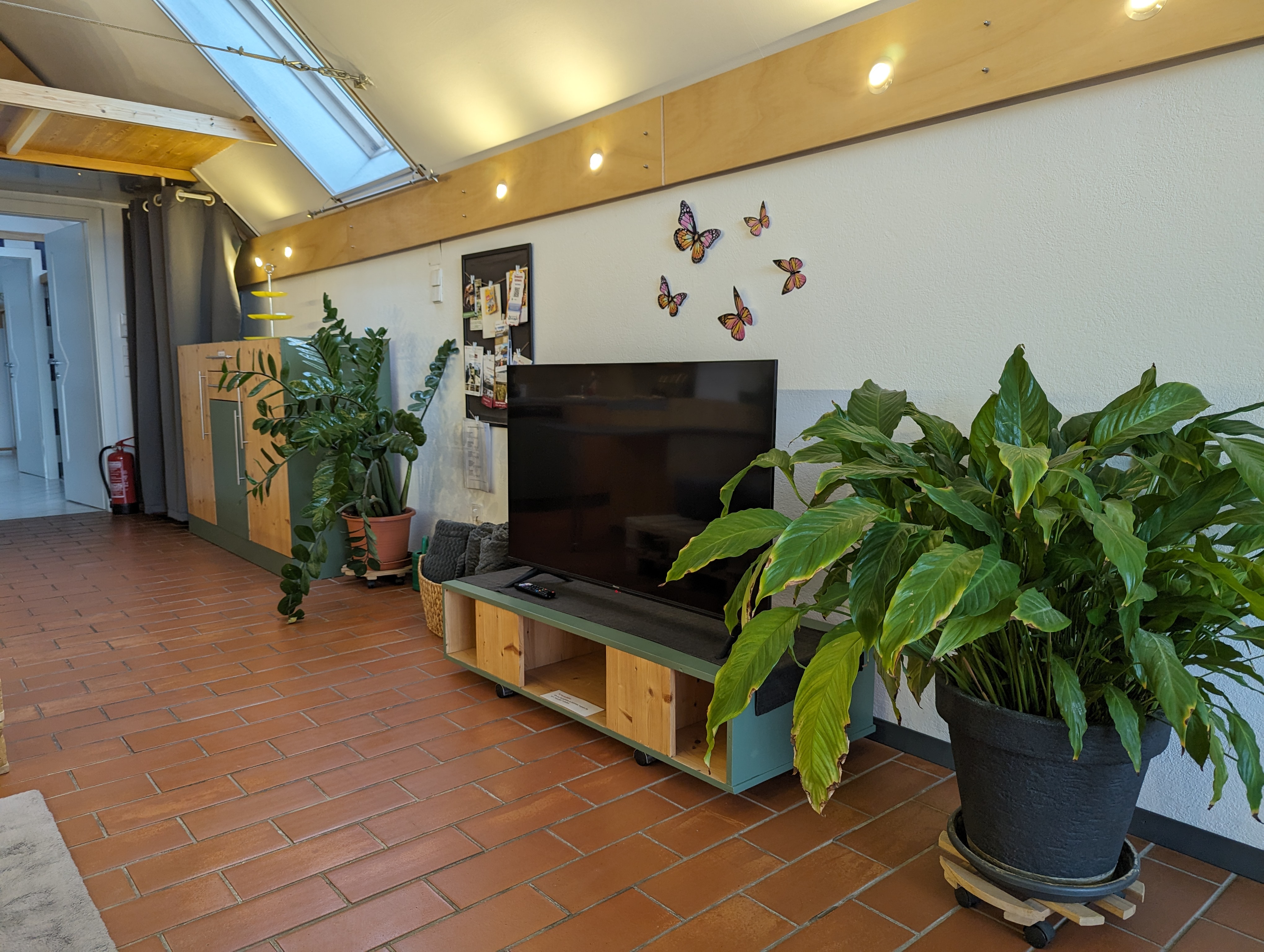 Bonito - image 3